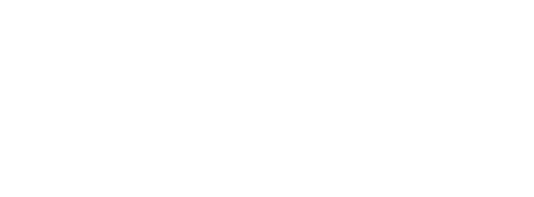 logo Sealink Networks